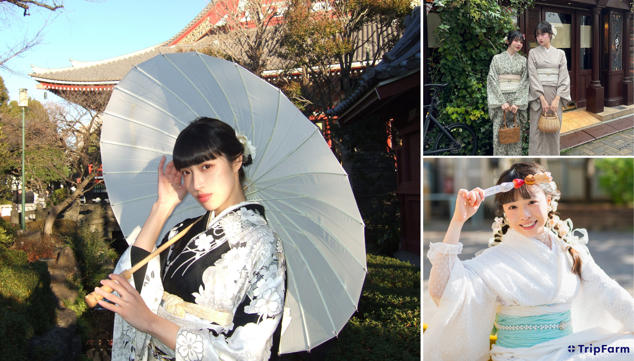 サイトのカバー画像